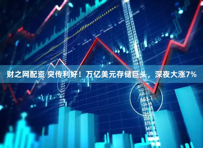 财之网配资 突传利好！万亿美元存储巨头，深夜大涨7%
